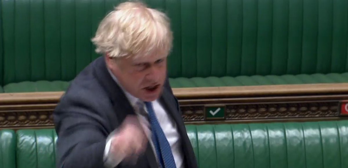 WhoNose? tweet media
