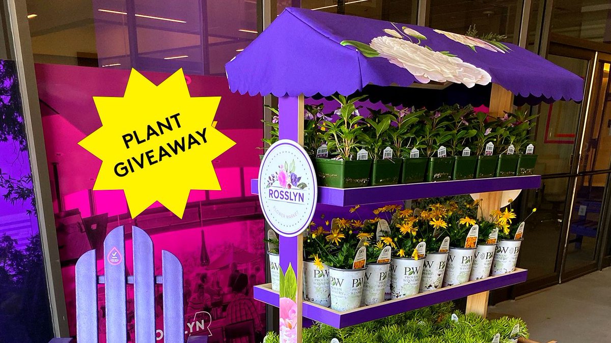 RosslynVA's tweet photo. π· The #RosslynRefresh: Flower Cart will be out again tomorrow, 4/29! We'll be giving away a variety of herbs, plants and flowers starting at 12PM outside of @BarleyMacVA (1600 Wilson Blvd). Come quick as we ran out fast last time! Future giveaways: https://t.co/y3gXpQsQjT https://t.co/IQ1FRlARHp