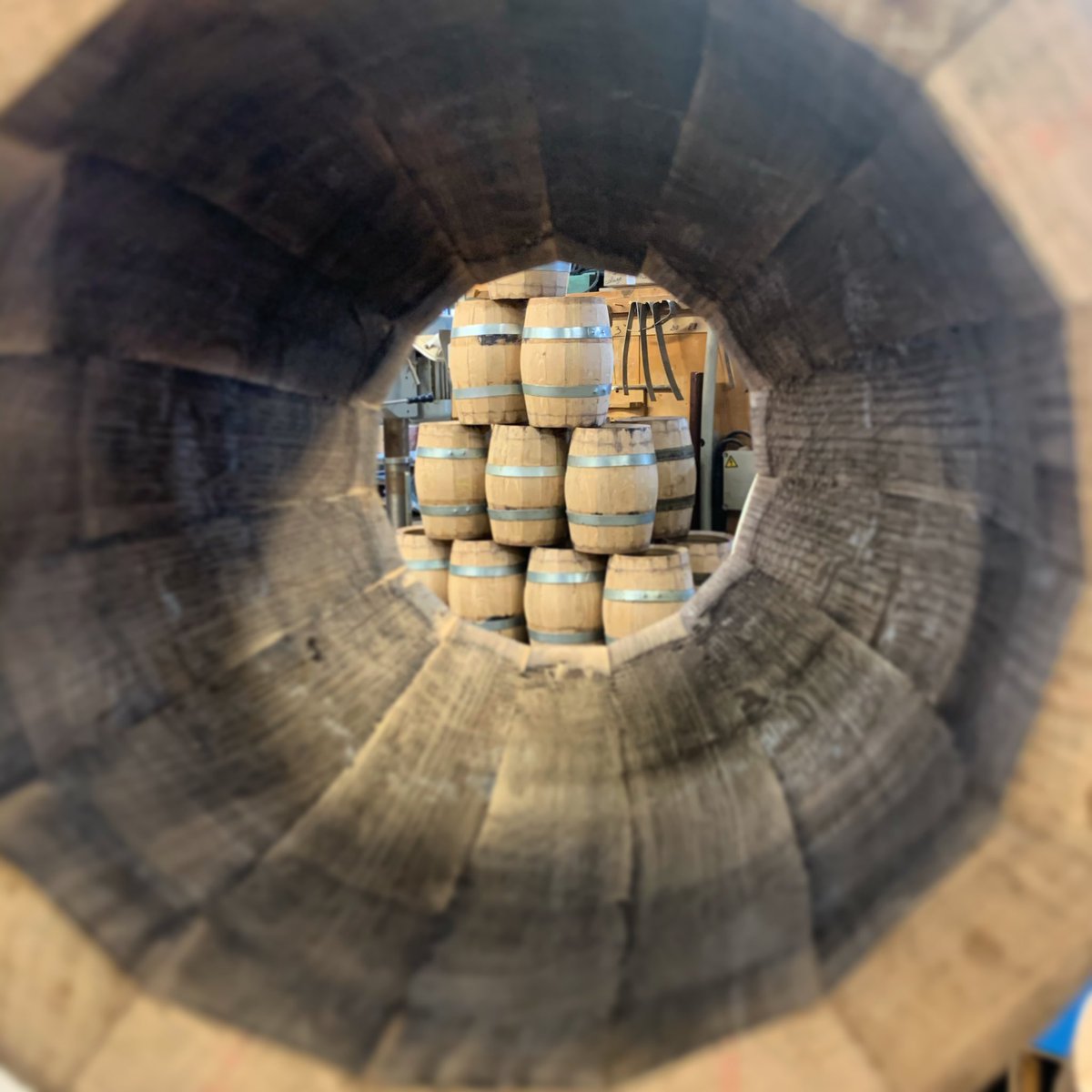 Fûts de 5L en ligne de mire #tonnellerie #tonnellerieallary #frenchbarrels #frenchcooperage #rhum #savoirfairefrancais #brasserie #distillery #chauffe #bousinage #vieillissement #rhumvieux