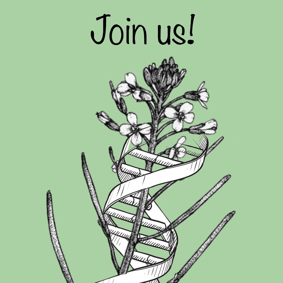 I am hiring! Looking for motivated research engineer (Master level) for a 2y project in Orsay (France) to study meiosis in Arabidopsis through ChIP and genetic screening. Details: bit.ly/3dGI5LM Feel free to DM/email me! Come join the amazing #meiosis4ever community!