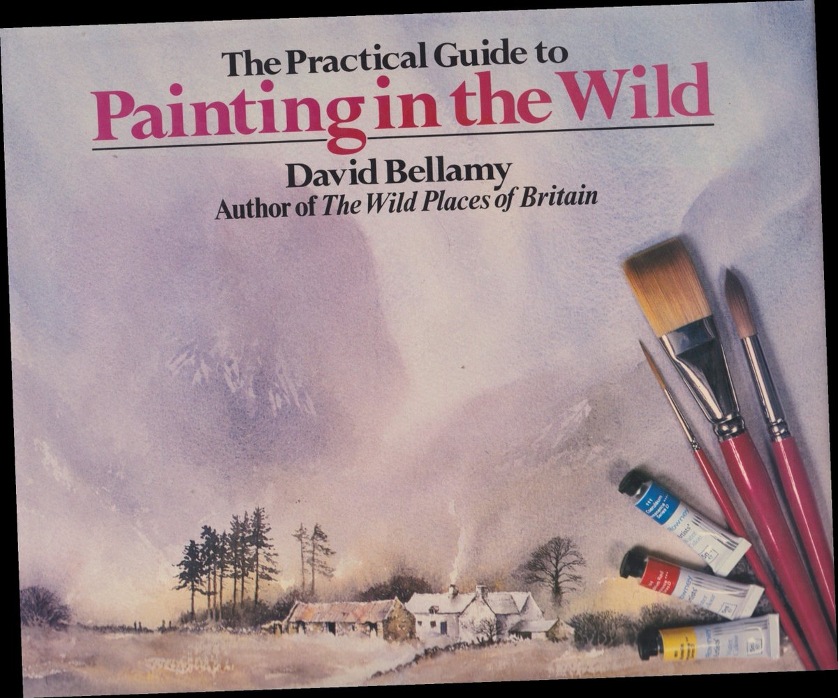{Read/Download} A Practical Guide to Painting in the Wild by David Bel / Twitter