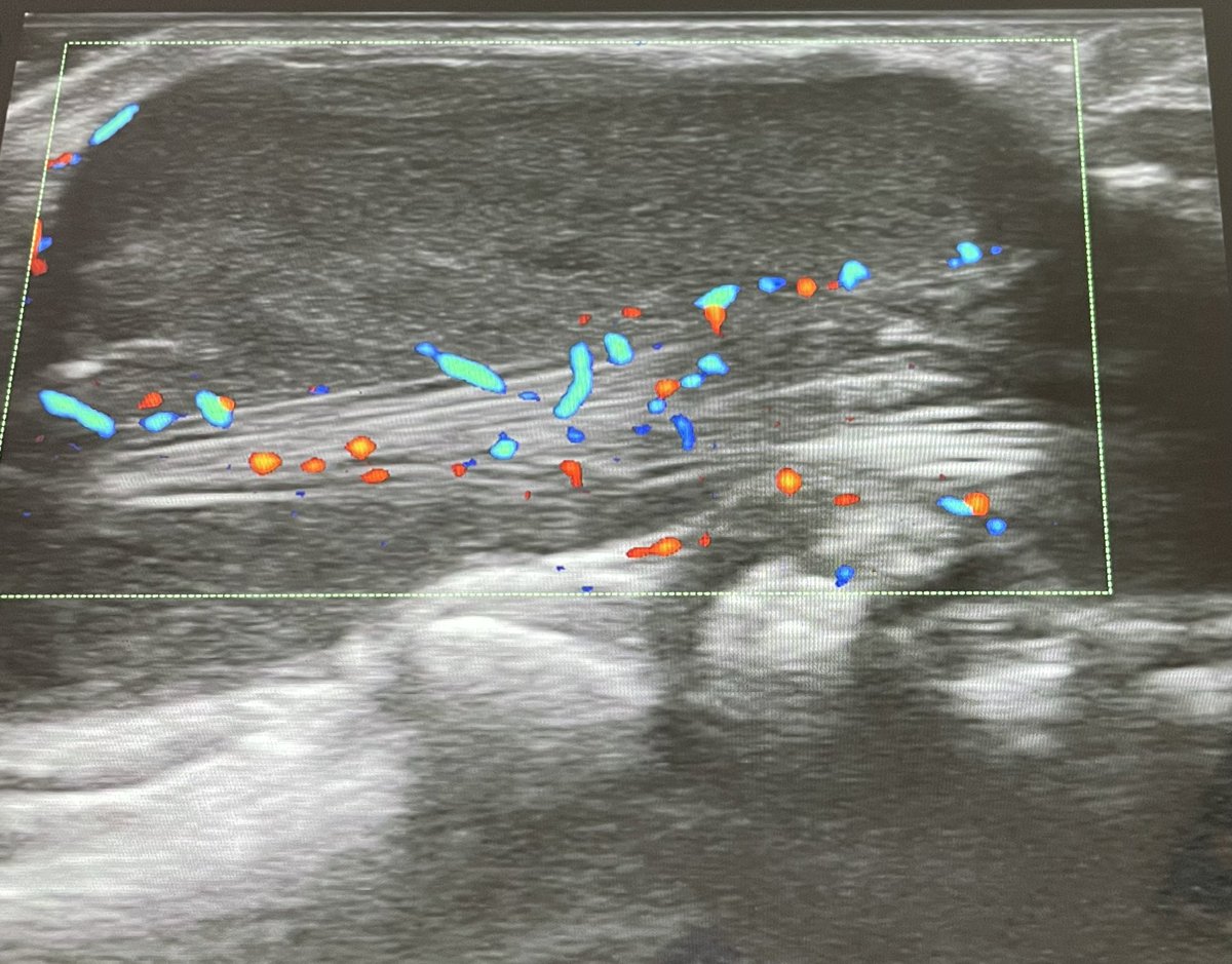 Enrique Calvo Aranda tweet media