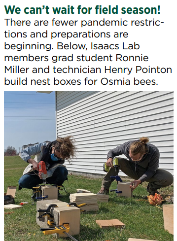 FutureDrMiller's tweet photo. My first MSU feature!! Henry, Jenna @Jenna_M_Walters Rufus @msuberrybugs and I worked hard to build tons of Osmia nest boxes for Jenna's project in @IsaacsLab Thanks Bugged Newsletter ๐ #SaveTheNativeBees
Check it out!
https://t.co/kSaUIpyV7m https://t.co/vETvU4AbaH