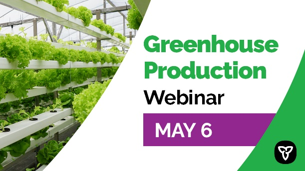 Register for the May 6 Greenhouse Production webinar. Learn from a great line-up of speakers from @OMAFRA, <a href="/OntFruitVeg/">OFVGA</a>, DSBCGlobal and more who will discuss different aspects of #greenhouseproduction in Northern Ontario. #OntAg bit.ly/3nGe5Dr