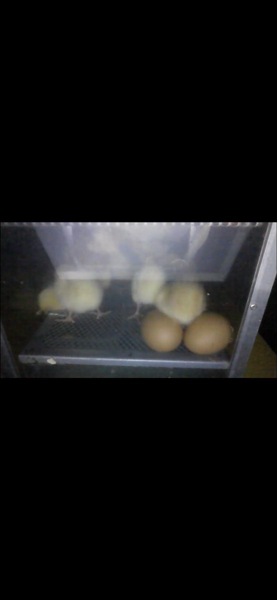 beaumontreception tweet media