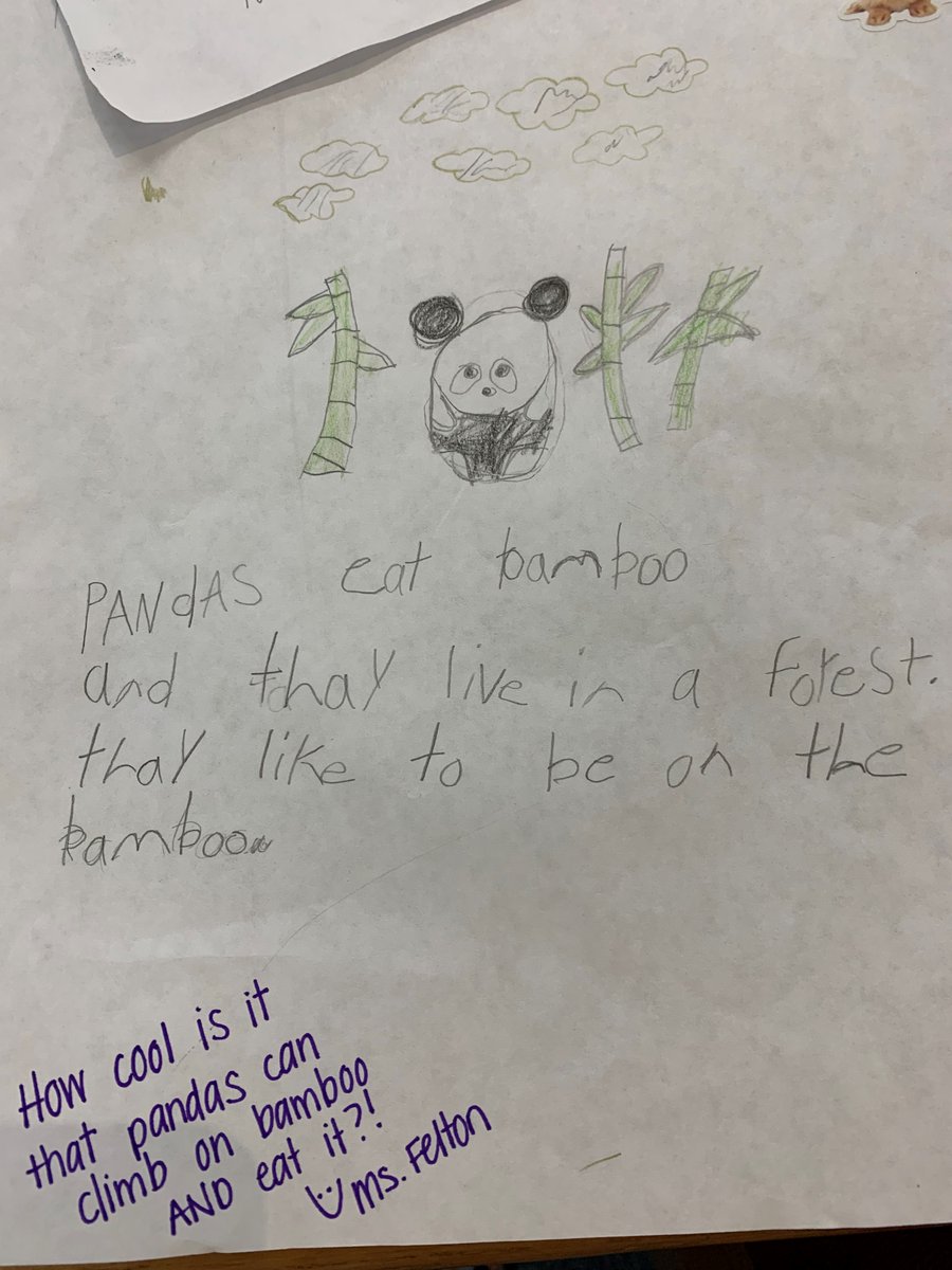 henrielibrary's tweet photo. After read Mockingbird nominee The Panda Problem by Deborah Underwood Henrie 1st graders drew their own panda and shared a fact they learned while researching.
@henriehawks #henriehawks Some even got a note from the principal. @lizfelton28 https://t.co/iizxJVlm8K