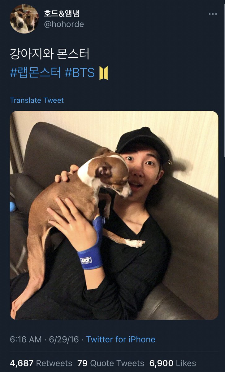 eAeon seems to love dogs (he seems to twt/RT re adoptions, lost & strays, etc quite a lot)He has two adorable Italian Greyhounds. In 2016, I think he just had one. His dogs have their own twt + IG accts“The dog” twt’d pics of Namjoon hanging out at eAeon’s house in June 2016+