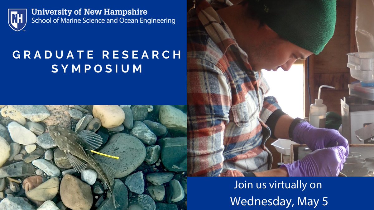 Nathans abundant data tell a simple but interesting story in how Arctic sculpin, respond to the spring ice-off and subsequent period of high food availability. Join us on May 5 for our Grad Research Symposium to learn more. bit.ly/3x879mB @UNH_GradSchool @unhresearchnews