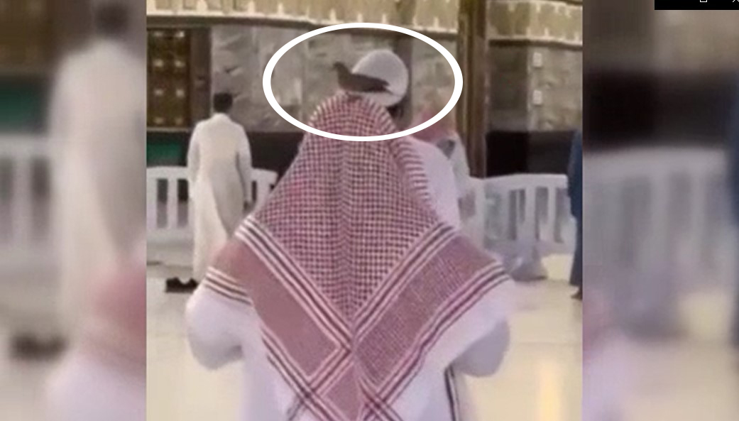 Kabe'den şaşırtan görüntü ow.ly/DTIV50EAbOq