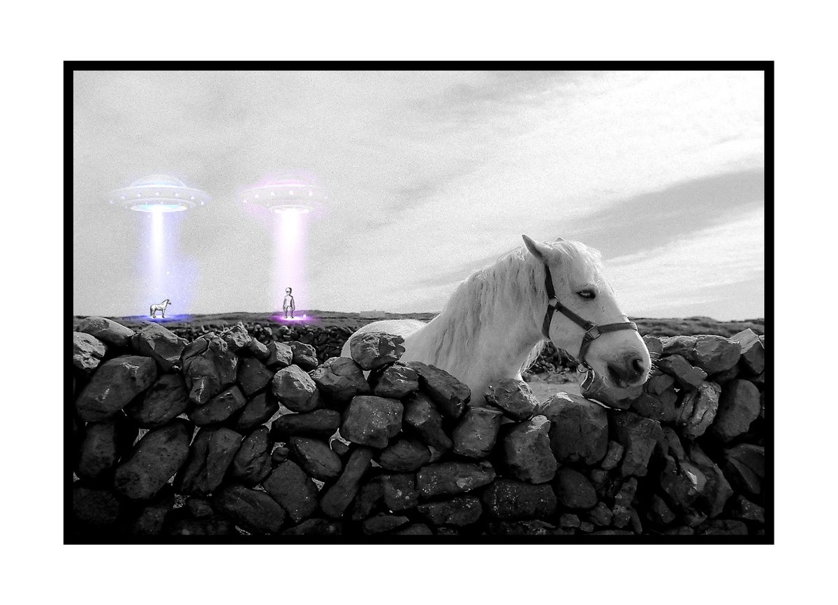 laina05885241's tweet photo. After setting up all my hardware I was finally able to work on a new peace. Invasion of the white horse. I hope you like it! #nftart #crytoart #blacknwhite #art #horse #aranislands https://t.co/FL9iW94gNJ