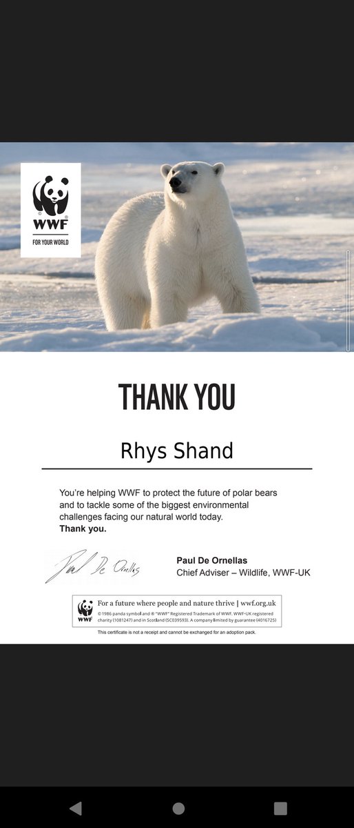Douglas Shand tweet media