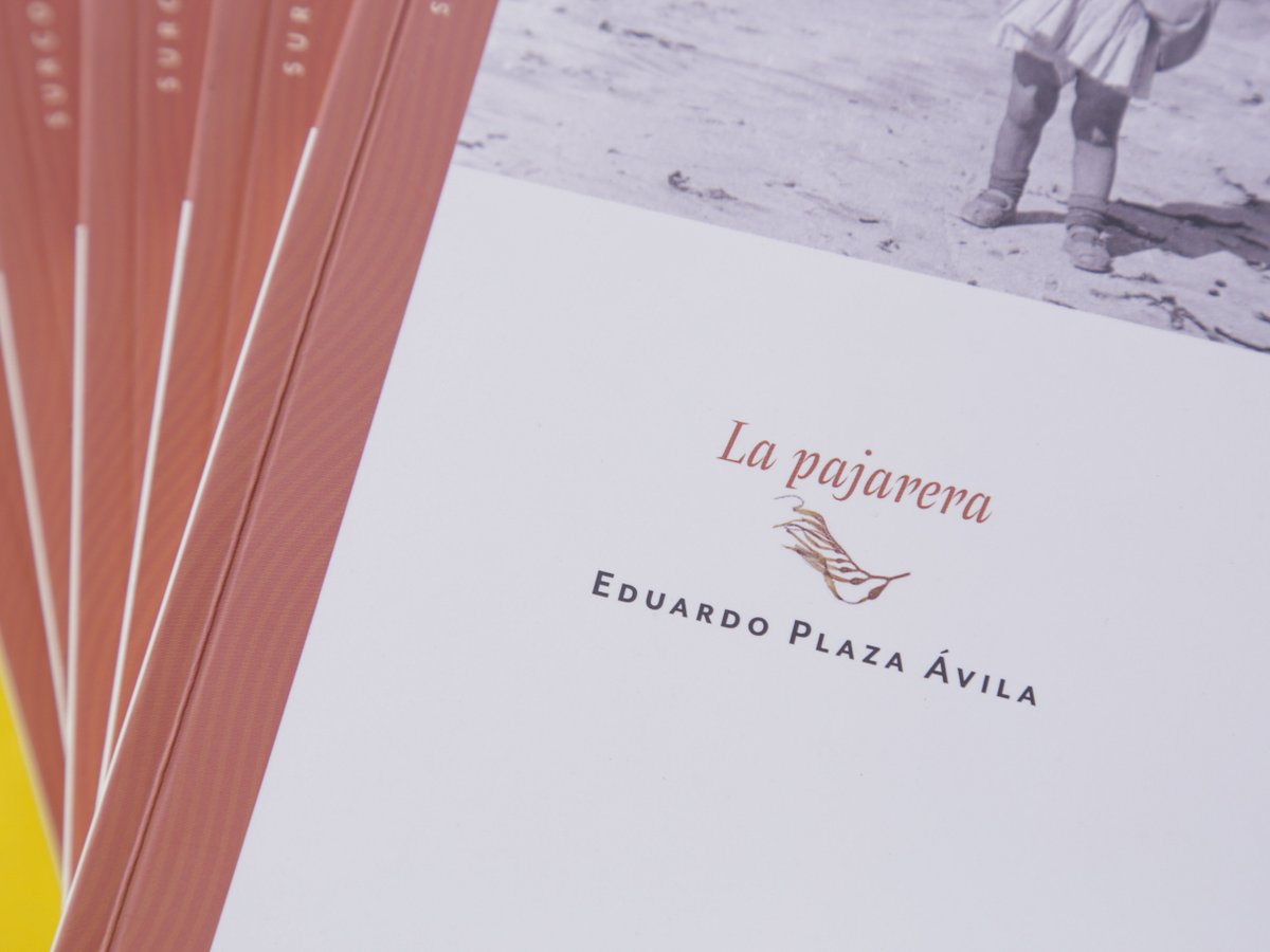 La Pollera Ediciones on Twitter: "💥🌊NOVEDAD EN PREVENTA💥🌊 El segundo  libro de la colección "Surcos del territorio" es LA PAJARERA de @edoplaza1.  Previo a su llegada a librerías lo tenemos con un