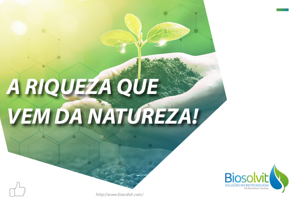 biosolvitbr's tweet photo. Se torna cada vez mais difícil imaginarmos um #futuro  sem investimento em nossos recursos naturais e no nosso planeta como um todo. Em escala #global, são necessários aproximadamente 700 bilhões de dólares para que possamos proteger e restaurar esses recursos do #planeta. https://t.co/rxXcIfPae5