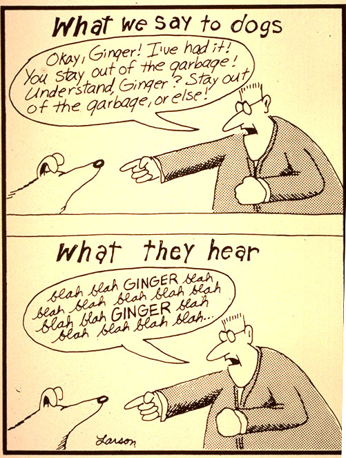msgavin28's tweet photo. @jackilippman Also, this Gary Larson take on dogs: https://t.co/EsiP9o5y33