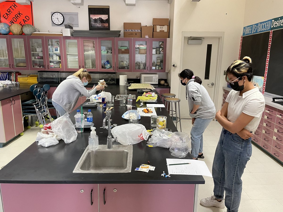 mrsboelter's tweet image. APES students analyzing their trash from 48 hours! #swaglab @cougar_crossing