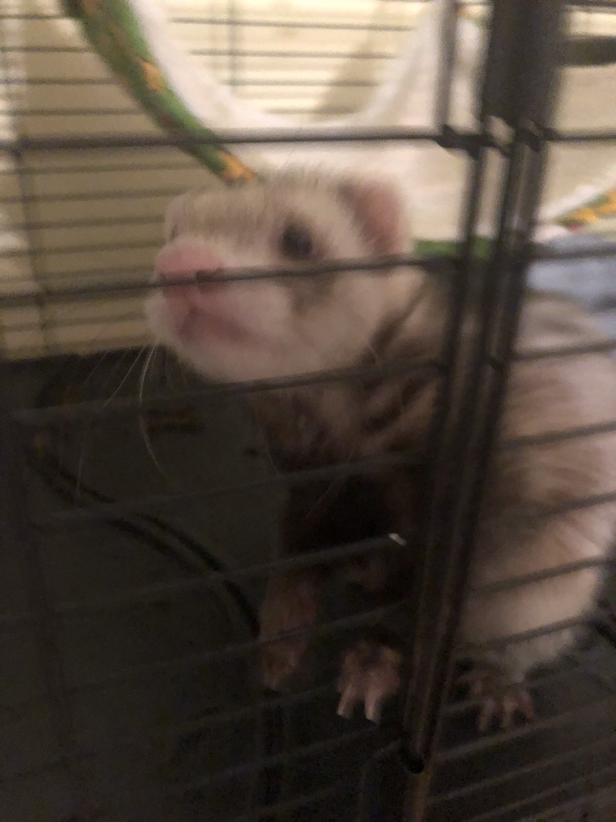 linedpaper04's tweet image. 