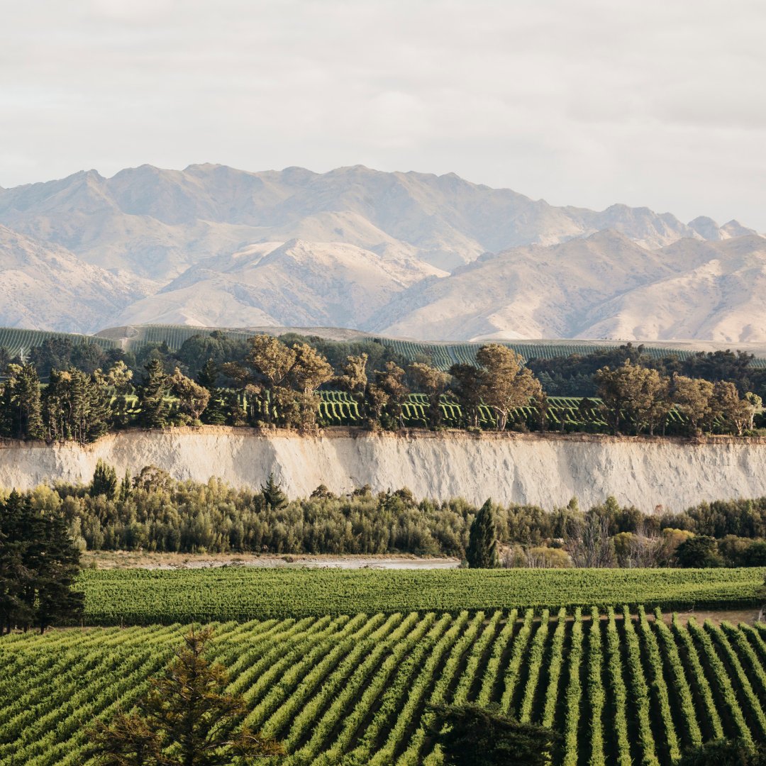 Marlborough, Aotearoa New Zealand. One of the finest areas in the world to grow aromatic wines with its great synergy of climate and soil. Where we call home. #konowines