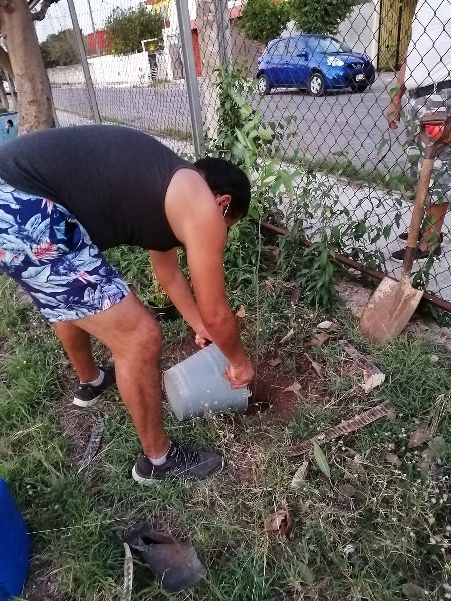 RafaelHCarrillo's tweet photo. Después de casi un mes.sin salir a sembrar hoy transplante un para de #Balche donadas por el Ayuntamiento de #Mérida.
#SiembraunArbol
#Hacenfaltaarboles
#SembrandoVida 
#Sembrandounfuturomejor https://t.co/nXfJRg3SHI