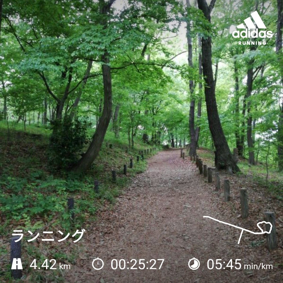 近所に小山発見したので、山ラン🏔

風景には癒やされながらも、起伏ある道のジョギングで疲労感も凄かった(笑)

少しづつ走る距離伸ばしてこ‼️
#ランニング