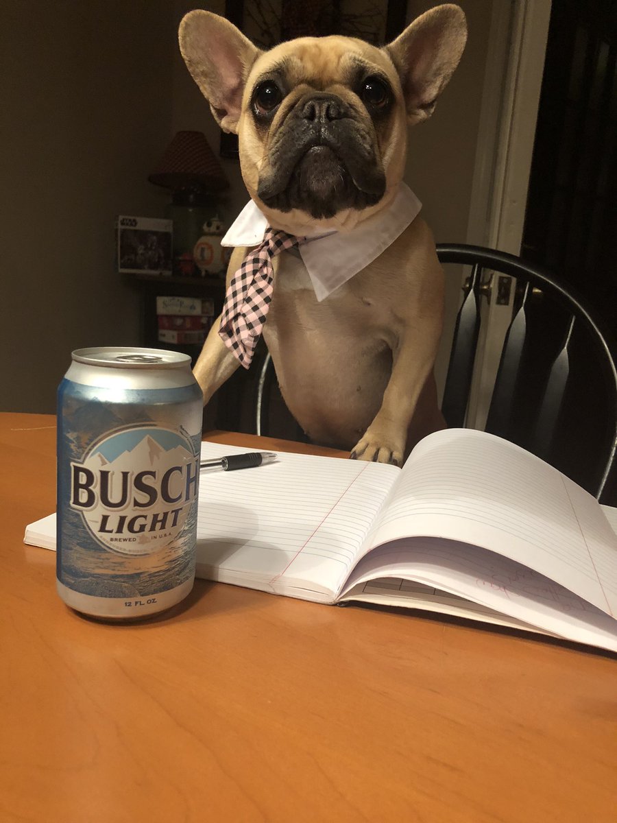 ScottLowery37's tweet image. My name is Paisley and I am an experienced taste tester of remnants of dads Busch Latte. Sometimes my human has a ruff time choosing which can of beer to drink, but I am always eager to assist. Some could say I’ve been training for a CTO position my entire life  #BuschCTOContest