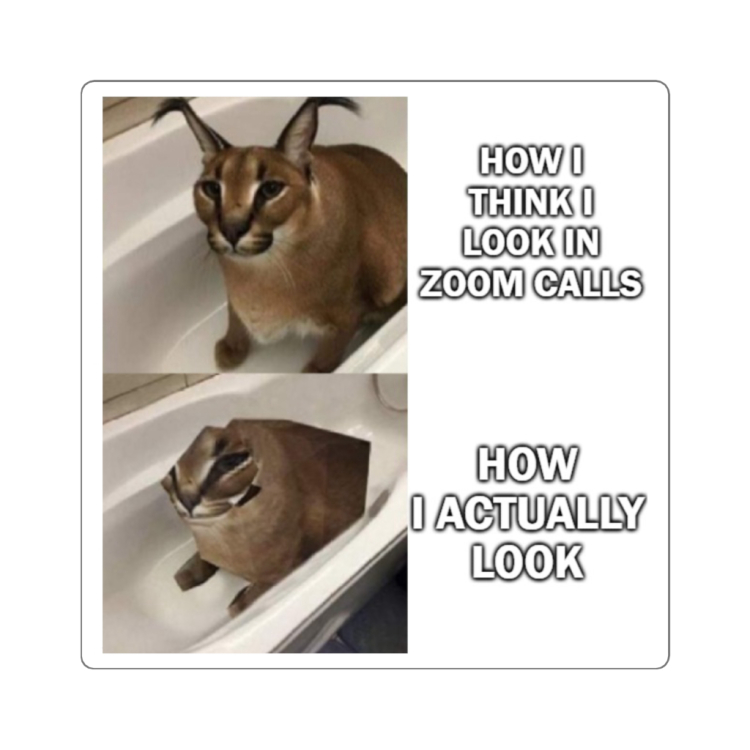 Big Floppa - A Look at Caracal Memes 