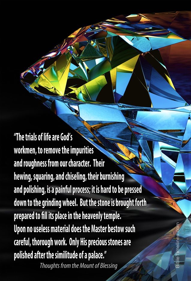 bibletimelines's tweet image. 