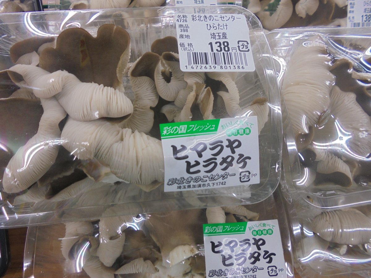 Ja南彩菖蒲グリーンセンター 雨のgw初日となってしまいました いちご狩り開園いたします 加須の彩北きのこセンターさんのマイタケ入荷始まりました 本日はヒラタケも入荷しました Ja南彩菖蒲グリーンセンター 雨のgw初日となってしまいました いちご狩り開園いたします 加須の彩北きのこセンターさんのマイタケ入荷始まりました 本日はヒラタケも入荷しました