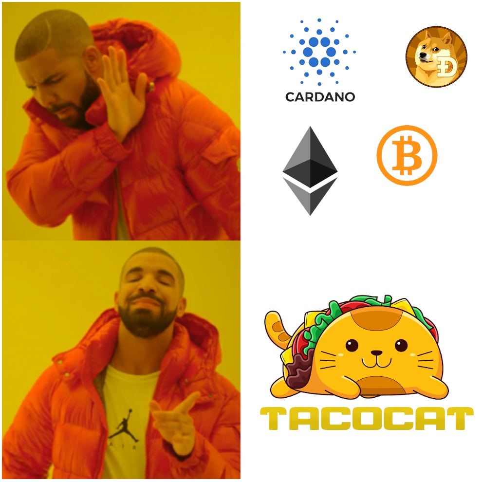 realJuicyHustle's tweet photo. @sampepper TACOCAT - Most stable and transparent bsc atm. There is a real company behind it and not only a rollercoaster 😁😁😎😎 just join our voice Chat - @TacoCatCrew https://t.co/z5Pdarfp9a