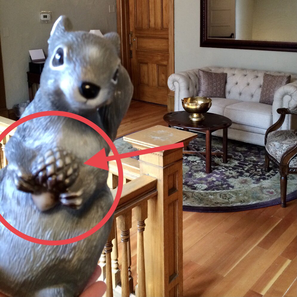 Lolly_Squirrel's tweet photo. #ImustconfessIhave trouble letting this acorn goโฆ ๐คท๐ปโโ๏ธ๐ฟ๐#whatsasquirreltodo #lettingthingsgo #squirrelscrolling https://t.co/KfFhEw3W28