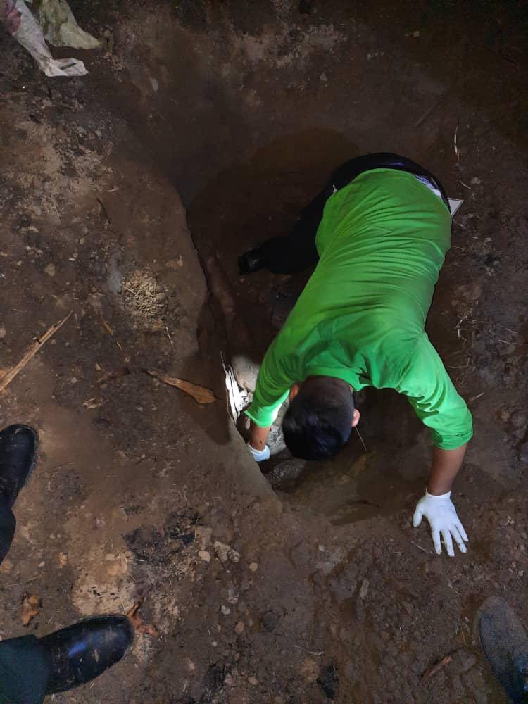 Pesquisas del #Cicpc esclarecieron el atroz crimen de Nelson Piña en Turen. 
instagram.com/p/COOfueThoG-/… <a href="/NicolasMaduro/">Nicolás Maduro</a>