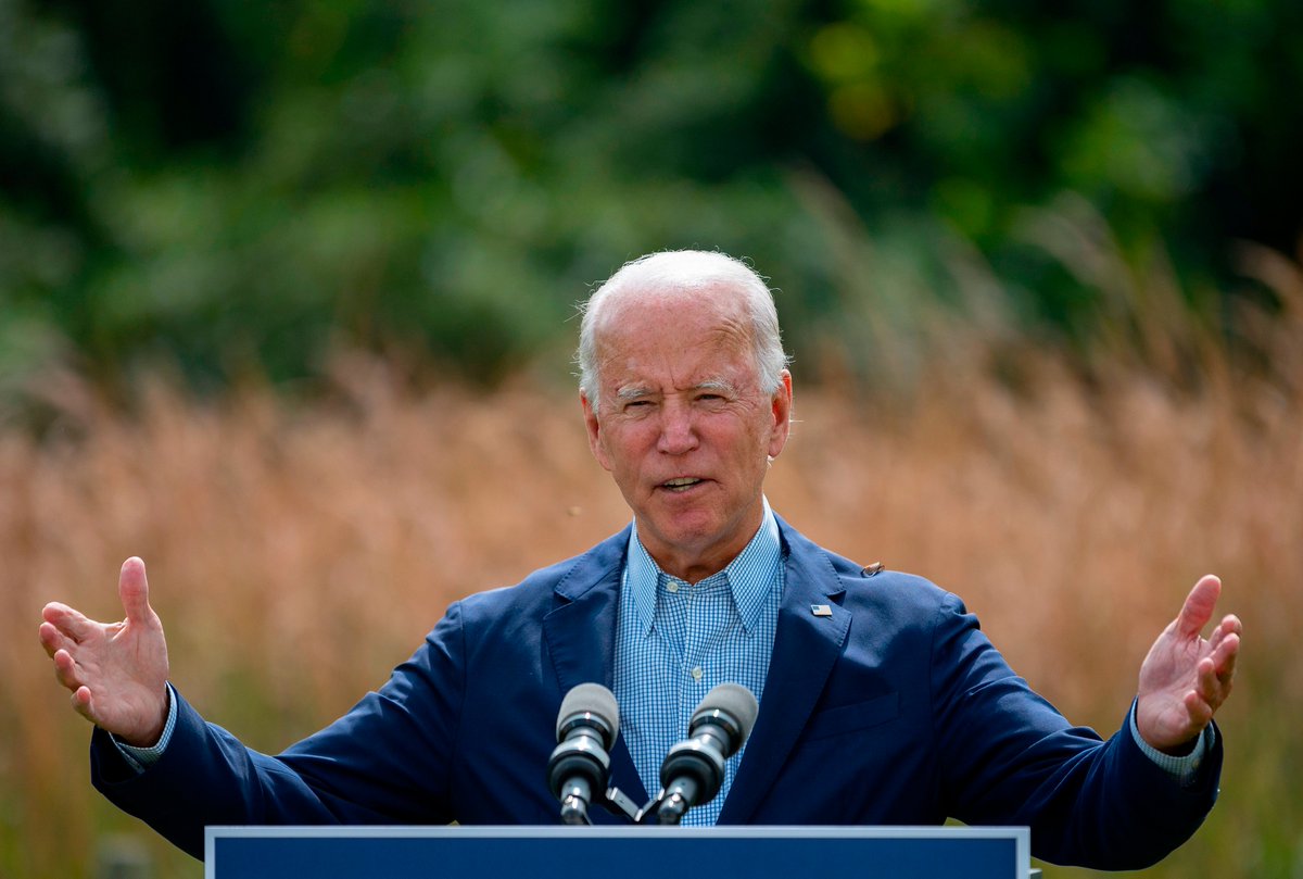 One small addition to this thread. Only late last night did I discover that, in the Getty photo of Biden accompanying the piece, there's a small ... moth? cicada? ... sitting on his left shoulder. Zoom in! You may metaphor at will.