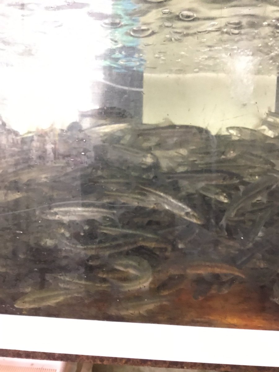 釣りエサ 釣りエサ