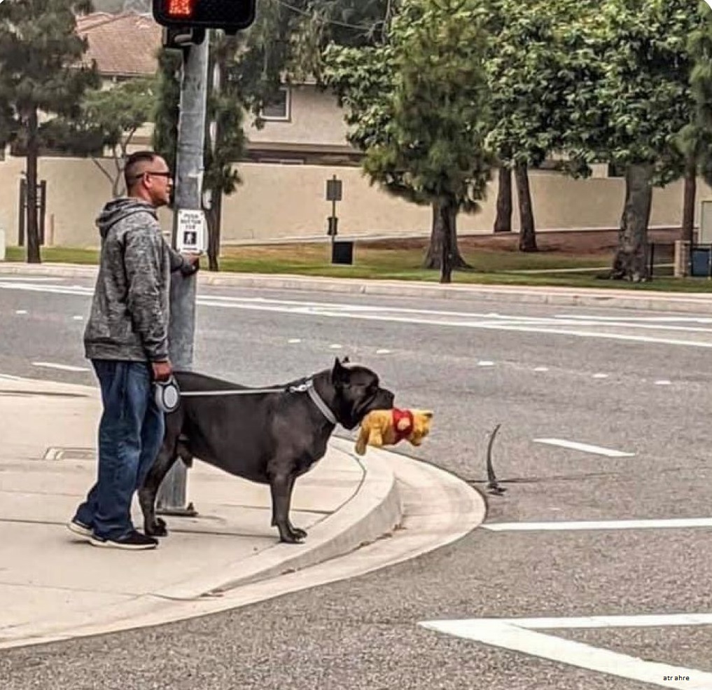Cuando tiene aspecto rudo pero por dentro es un amor