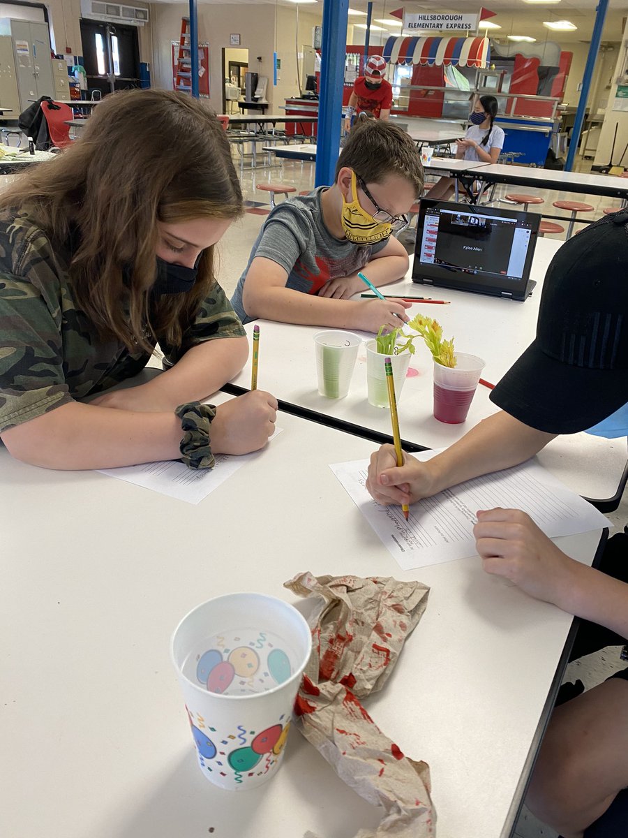MsMcArthur_MPMS's tweet image. Scientists 👩‍🔬 👨🏽‍🔬 hard at work today examining plant structures that help them transport nutrients. What #bodysystem could these structures be similar to in the human body? Stay tuned to find out tomorrow! @HESSPLASH #science