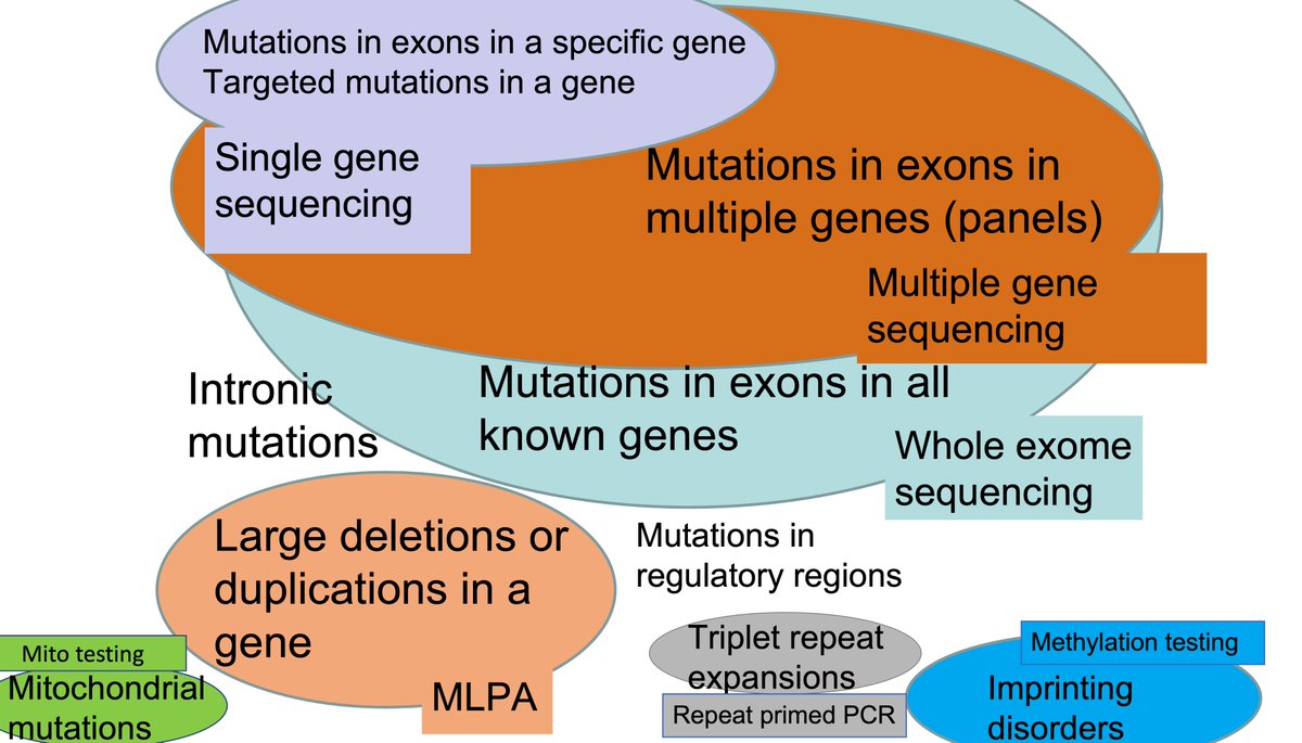 Do you see how these gene-based tests mostly don't overlap? they are looking for different types of mutations in the genes.