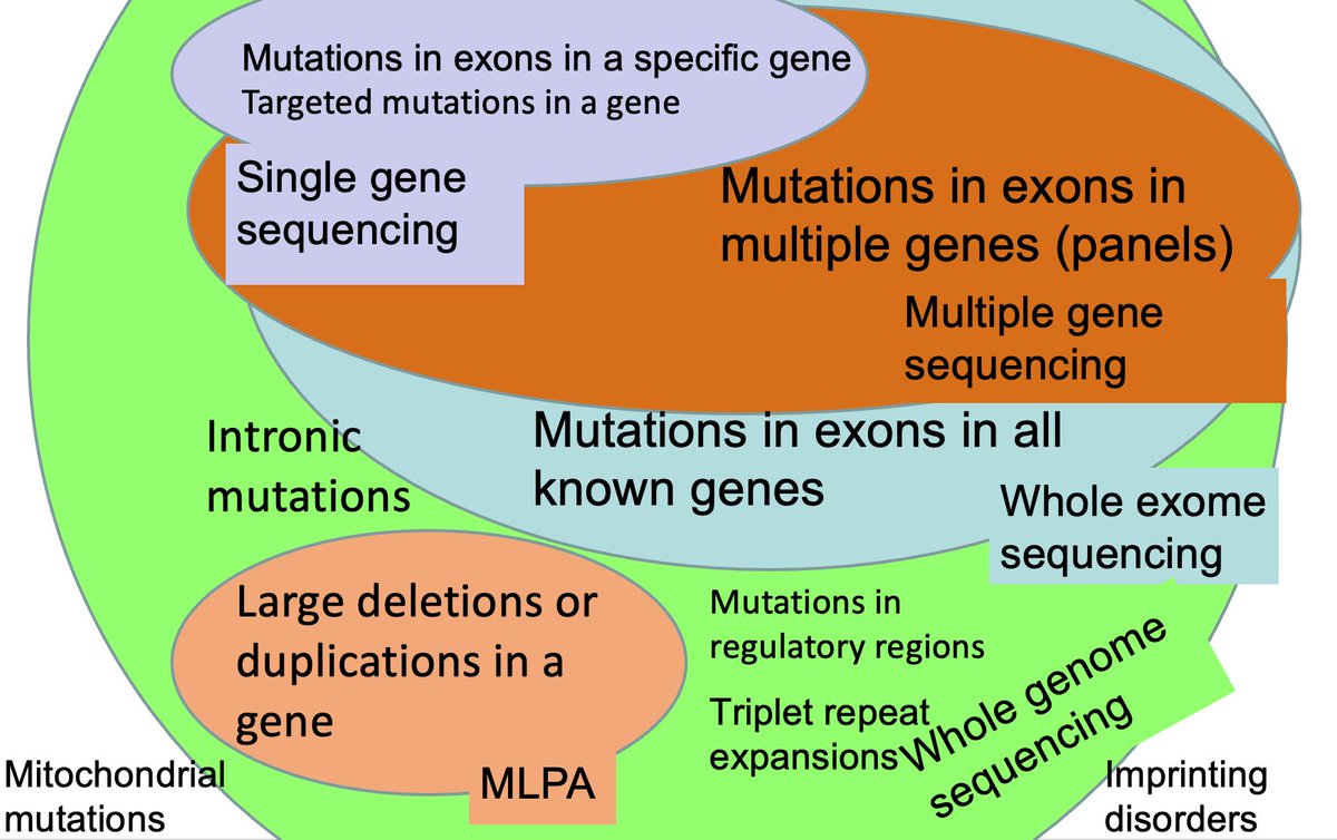 Okay, how about: Whole Genome Sequencing? This looks at chromosomal changes (remember those?) + sequences exons, non-coding regions, and triplet repeats all at once. It will still miss a few conditions though.It's available, just not clinically everywhere yet.
