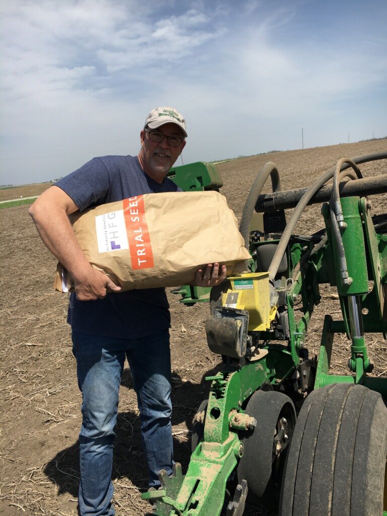 HiFiGenetics's tweet image. Couldn’t ask for a better day for planting some trial seed!!!!