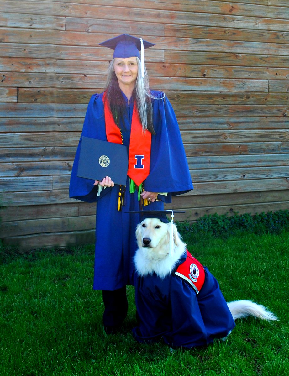 Golden retriever dog graduation cap hi-res stock photography and images -  Alamy