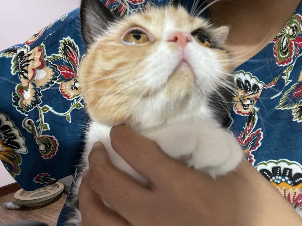 จับตัดเล็บ ดูมันทำหน้า ไม่ตัดละ 🥺