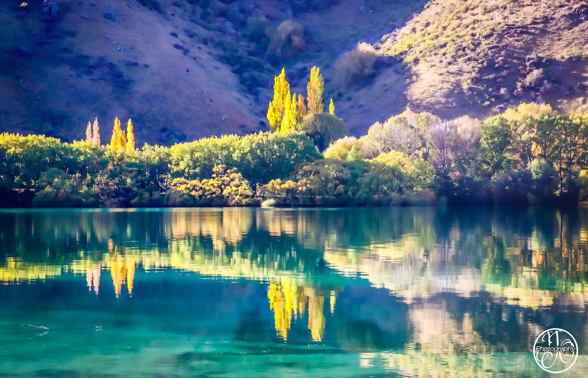 Jo Cook-Bonney tweet media