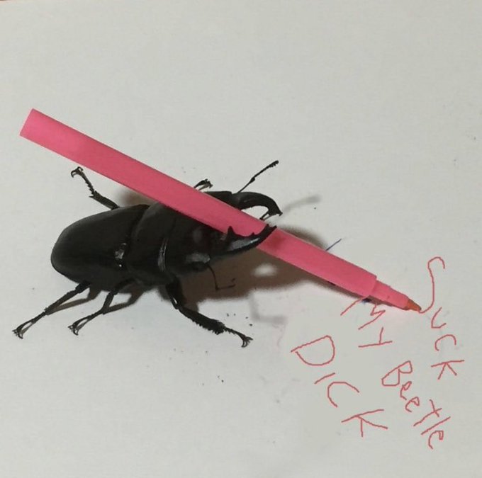 #suckit 😂 https://t.co/s3ACuepK26<a href="/tag/suckit"class="tags">#suckit</a>