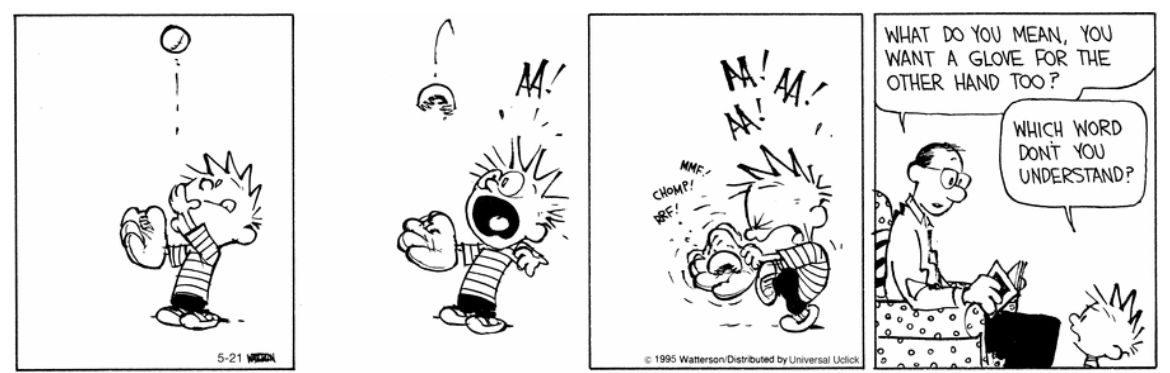 Calvin and Hobbes Fan Account tweet media