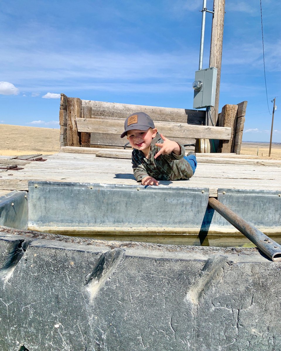 WesternAgReport's tweet photo. AgriKid of the Week!
On their ranch near Shawmut, Montana, Ryker Sargent experienced the feel of slimy algae on his fingers while helping check water tanks.
#agrikid #ranchkid #cowkid #WAR #westernag #westernagreporter #ranchkids #farmkids #agkids #kidswillbekids https://t.co/wzeiB8aj39