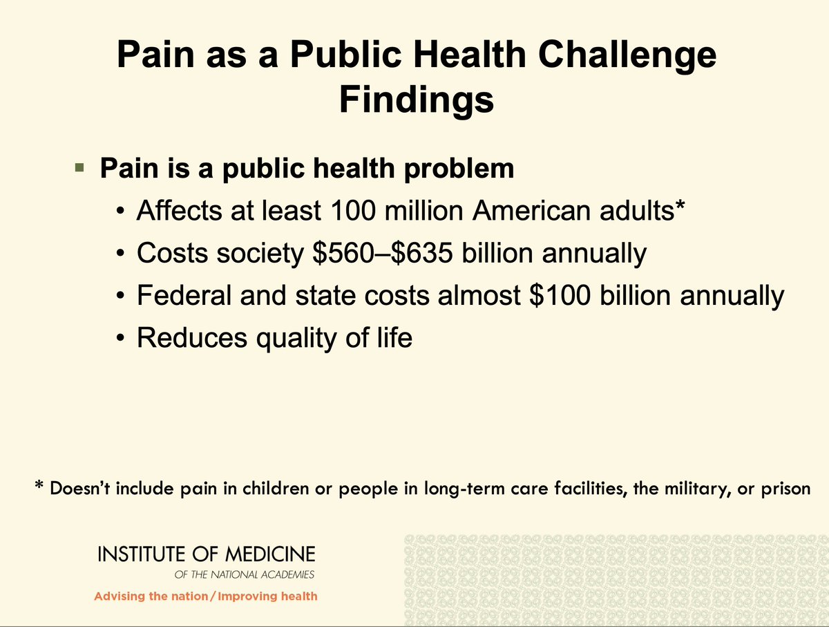 Pain as a national economic burden: