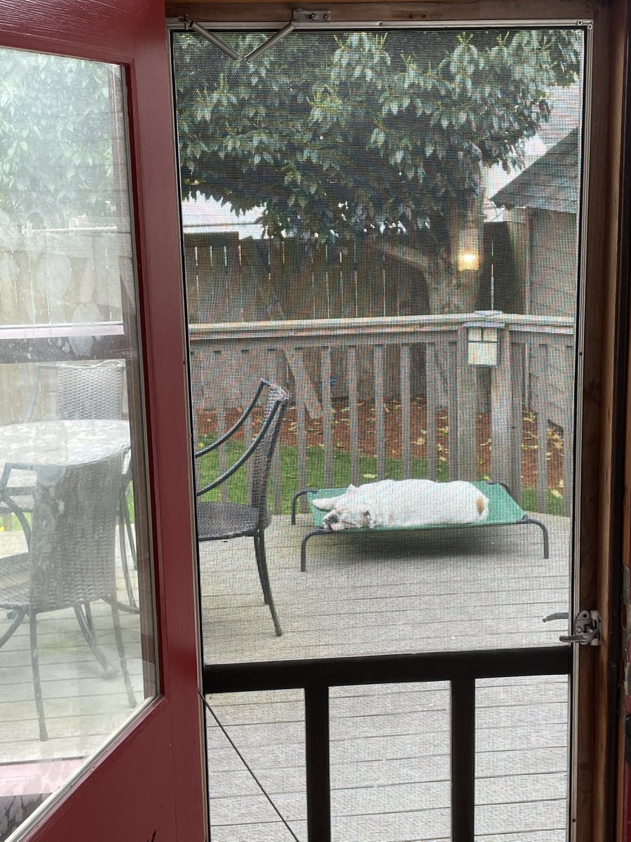 This is all Norman wants in life.