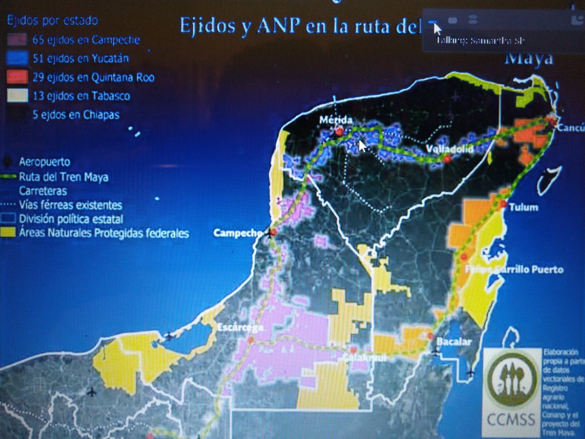 omar alpuche leal tweet media