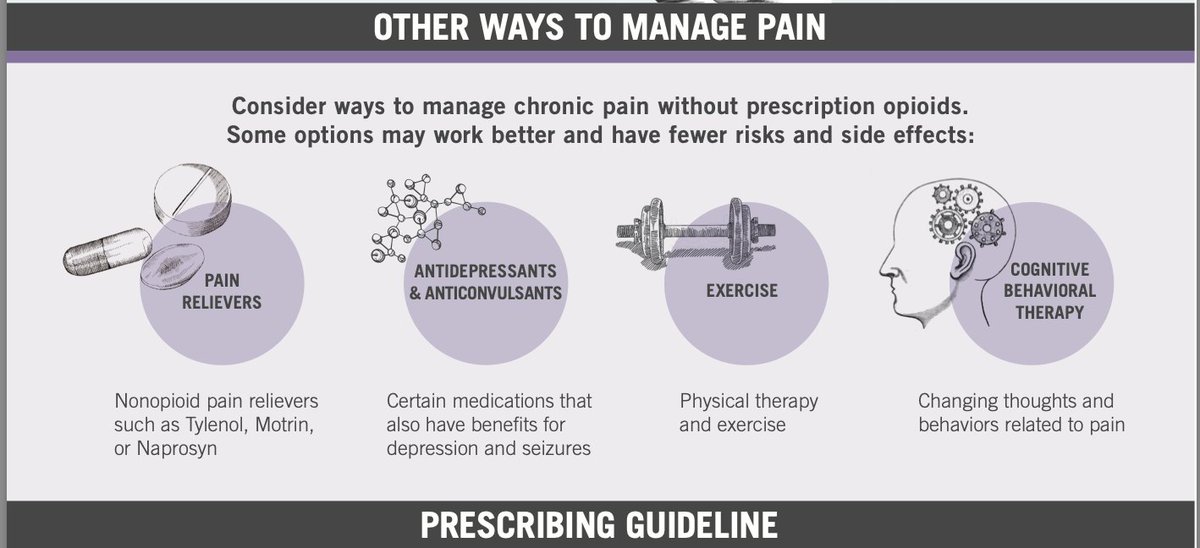 Aside from scare filters on the first page graphics, it has some handy recommendations for "providers" to make to patients who are disabled and/or in intractable constant pain to make them feel better instead of prescribing opiates/opioids