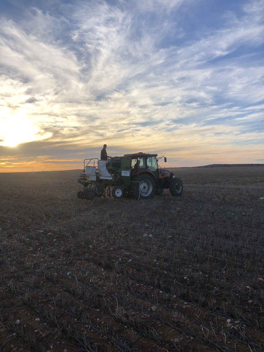 Jarrad Schiller (@jarradschiller) on Twitter photo 2021 <a href="/Cleve_Rural/">Cleve Rural Traders</a> Trial Site in the ground. Let’s hope for some rain to get it up and going.
Thanks <a href="/Ware_AH/">Andrew Ware</a> and the team for putting it in 2021 <a href="/Cleve_Rural/">Cleve Rural Traders</a> Trial Site in the ground. Let’s hope for some rain to get it up and going.
Thanks <a href="/Ware_AH/">Andrew Ware</a> and the team for putting it in