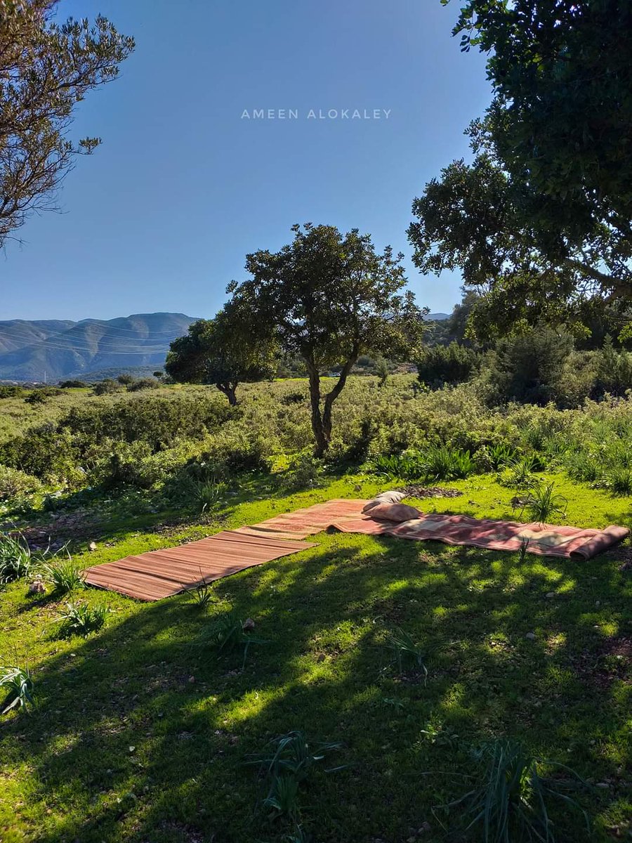 eabdalhafiz saedun tweet media