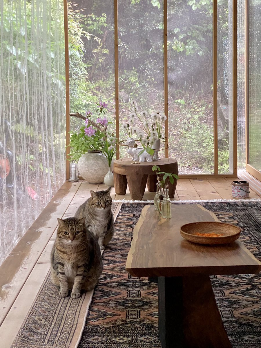 雨でデッキの縁が濡れるので絨毯を折り 猫がそこにで雨音を聞いている ツイ主さんがあげた何気ない生活写真が美しすぎる Togetter